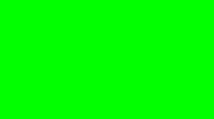 Green Screen Production: Kompletny poradnik dla początkujących (2025)